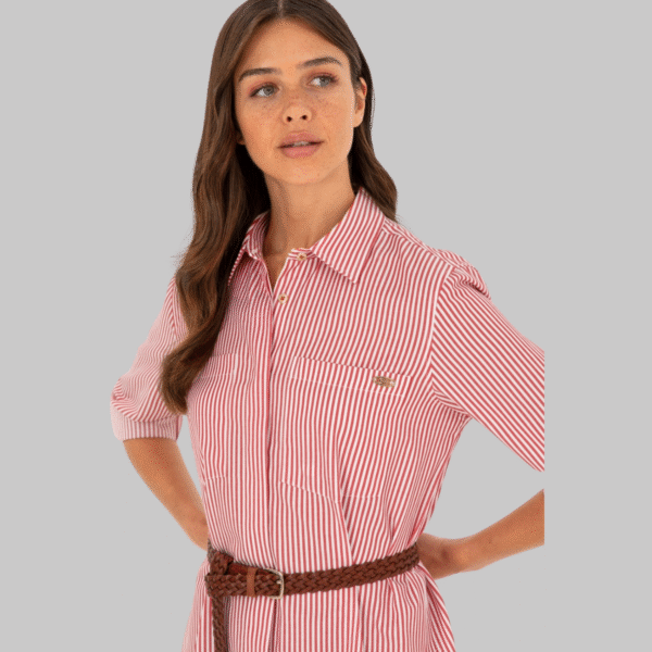 Women's Red Striped Woven Dress