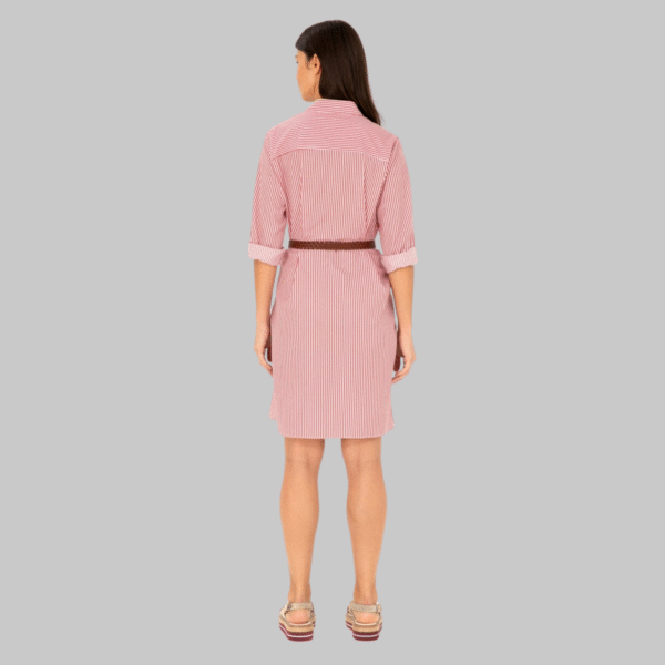 Women's Red Striped Woven Dress