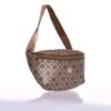 Fossil Gold Waist Bag