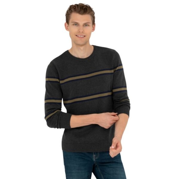 WhatsApp Image 2025-10-20 at 5.49.15 PM Men's pullover