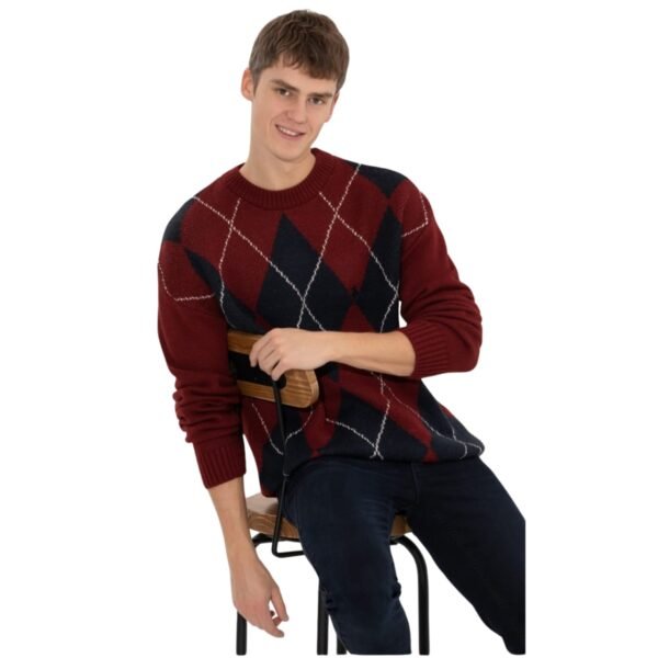 WhatsApp Image 2025-10-22 at 2.01.20 PM (2) Men's pullover