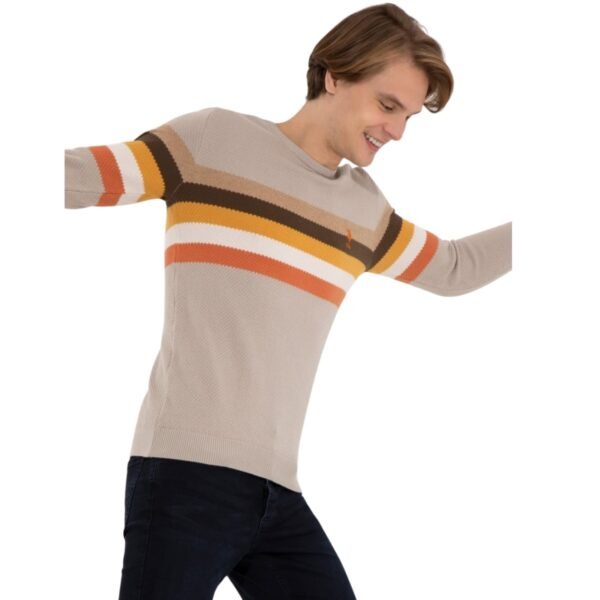 WhatsApp Image 2025-10-22 at 3.09.14 PM Men's pullover