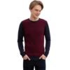 USPA Men's pullover