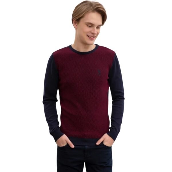 WhatsApp Image 2025-10-27 at 5.33.45 PM USPA Men's pullover