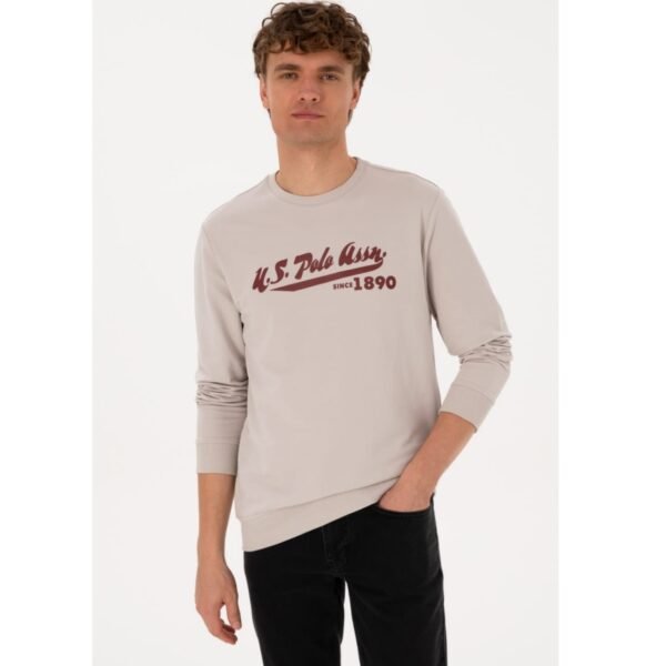 Men's sweatshirt
