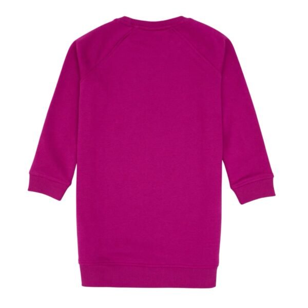 untitled-design-1-40 Girls Fushia Dress Crew Neck