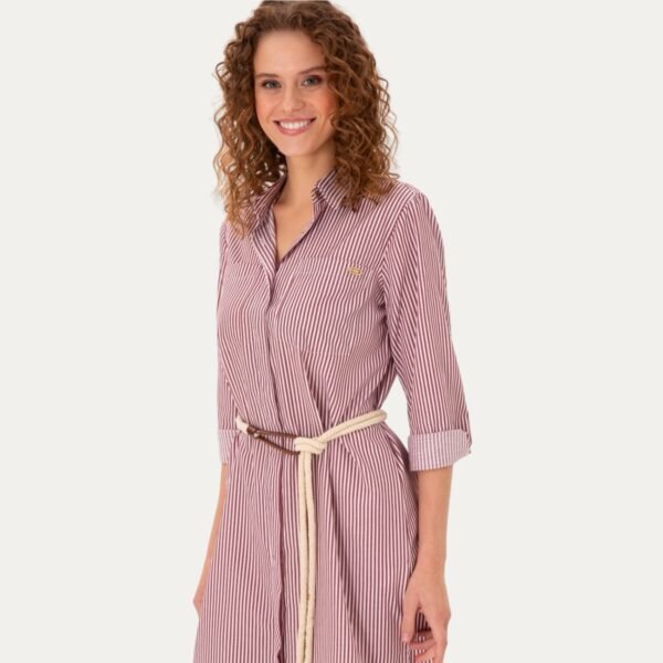 Women's Burgundy Striped Mini Woven Dress