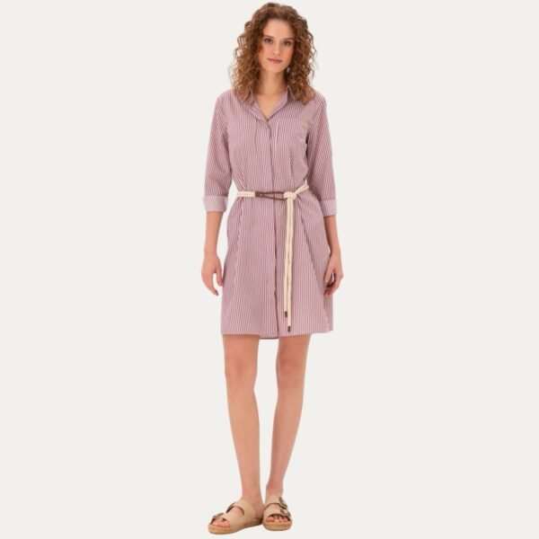 Women's Burgundy Striped Mini Woven Dress