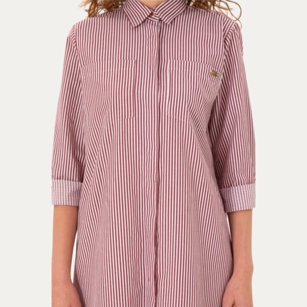 Women's Burgundy Striped Mini Woven Dress